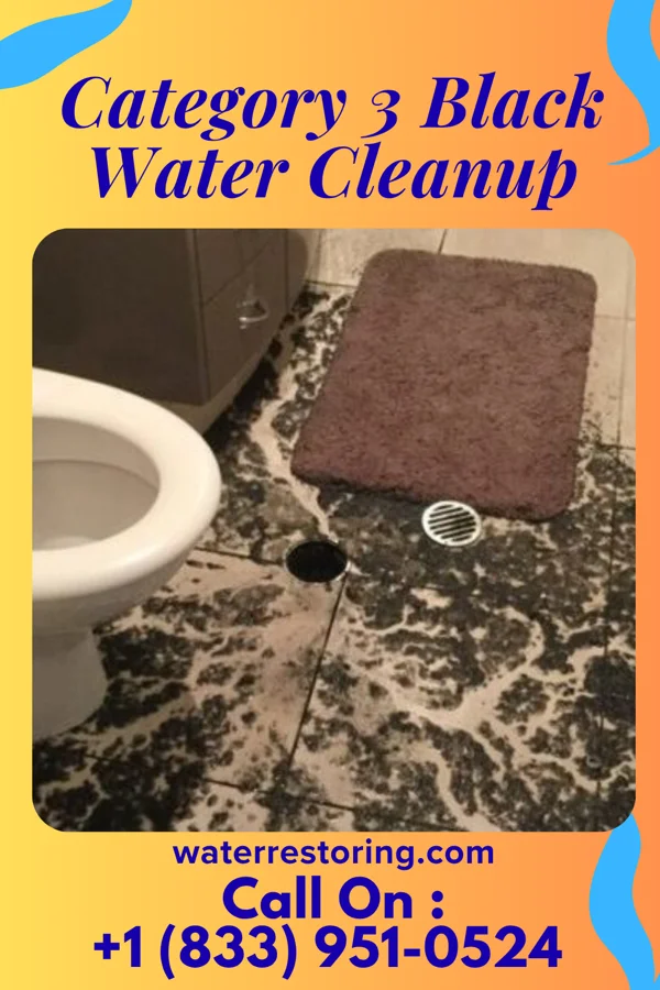 Category 3 Black Water Cleanup in Shoal Creek Drive, MO