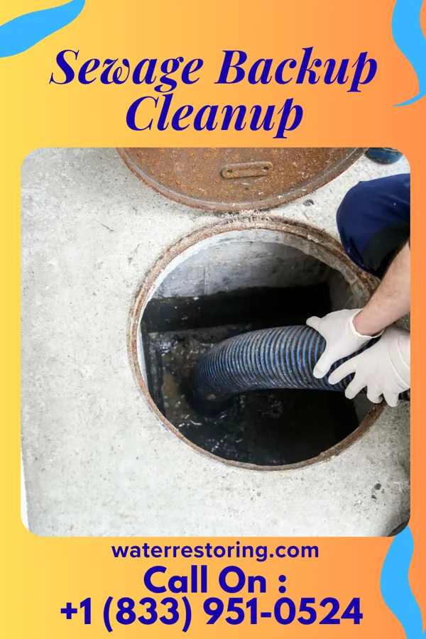 Sewage Backup Cleanup in Shoal Creek Drive, MO